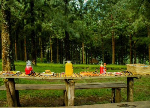 Outdoor Picnic