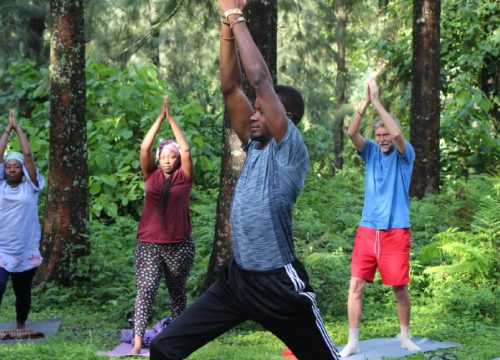 Yoga (Meditation)